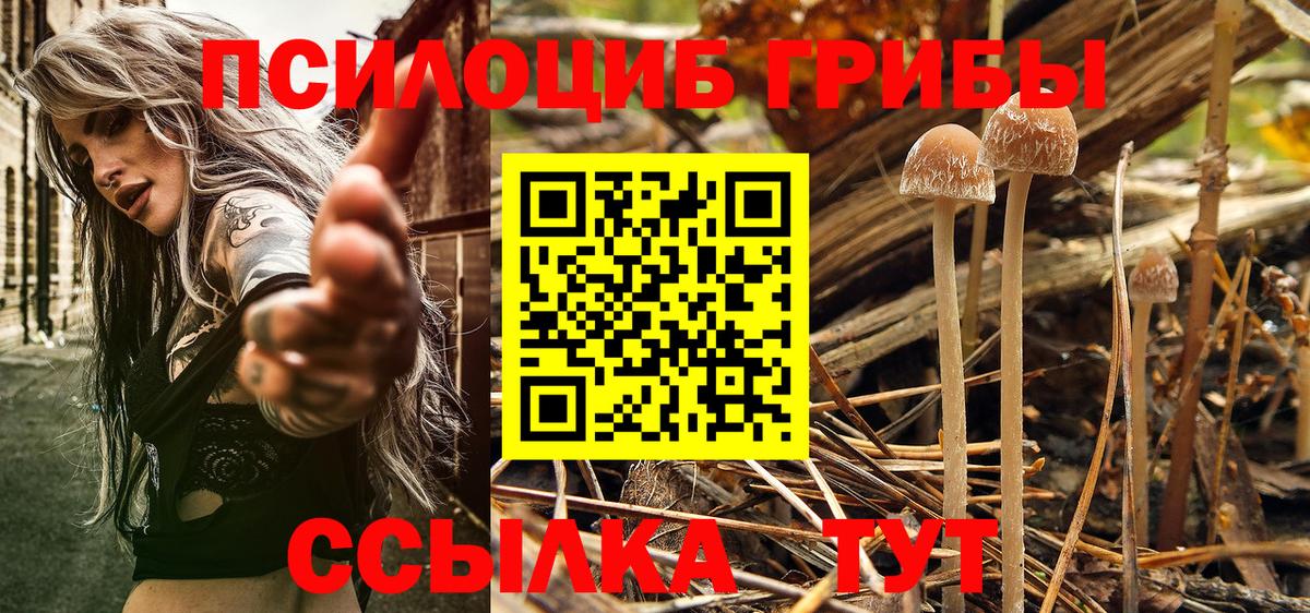 Галлюциногенные грибы Cubensis  Вход с VPN  Псилоцибиновые грибы мицелий  Обь 